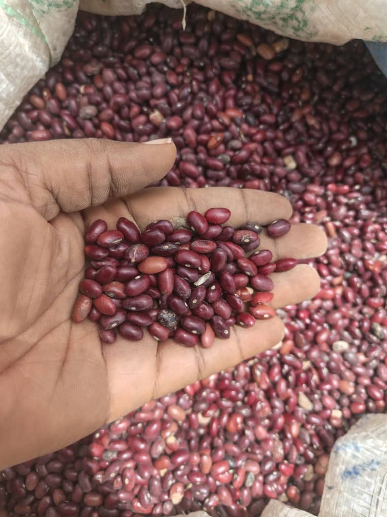 Pasraco Beans