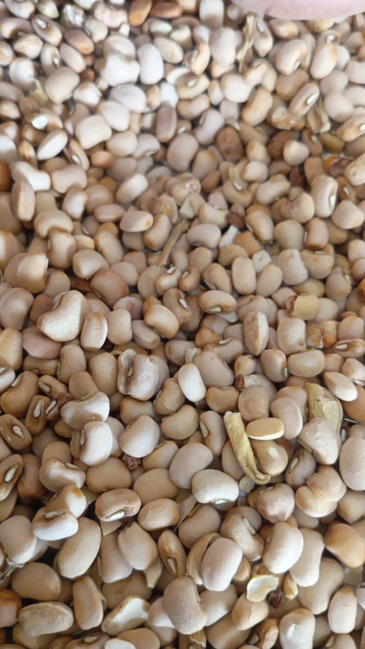 Iron Beans