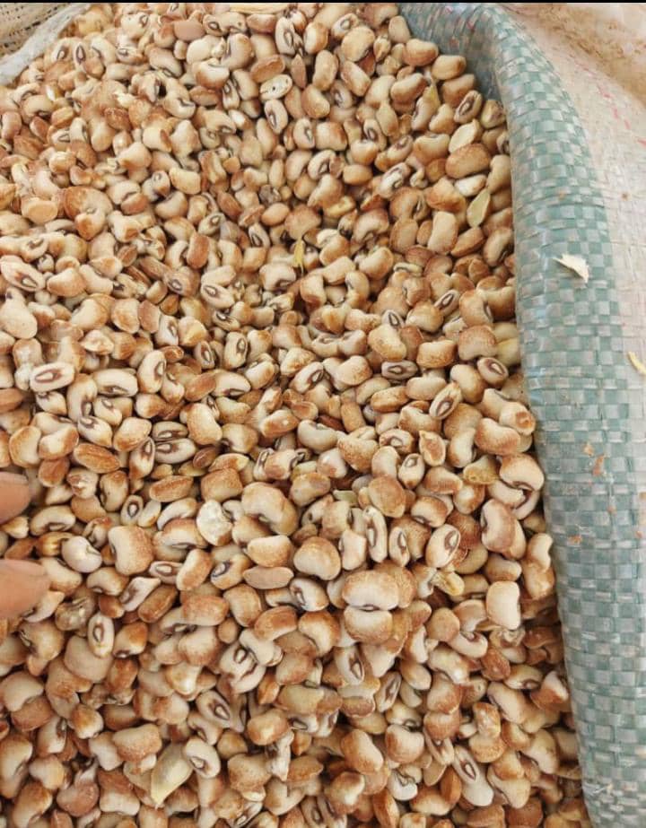 Oloyin Beans