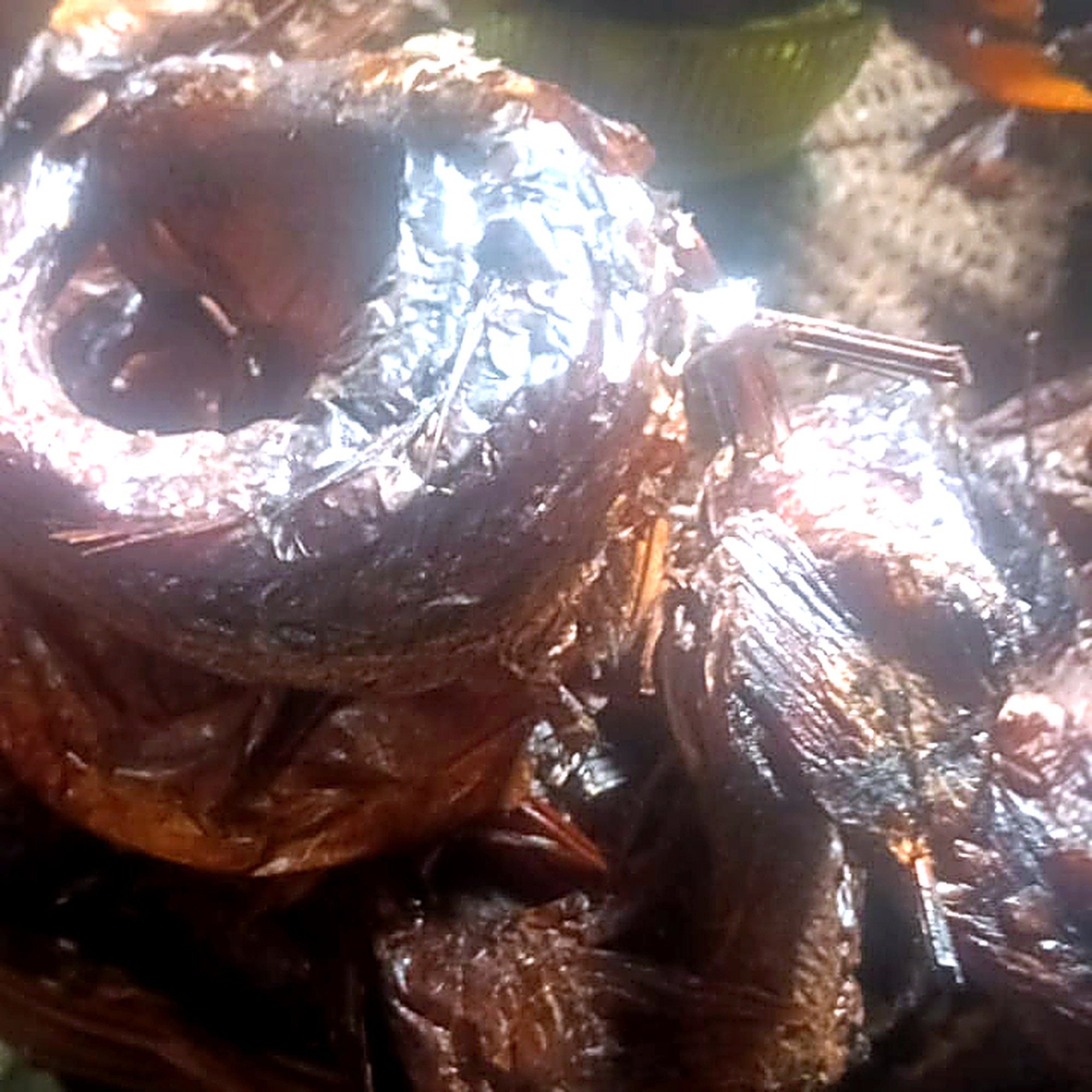 Croaker Fish (Smoked & Dried)