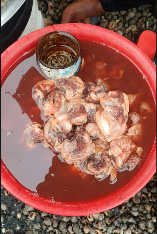 Salt water clams (Ofingo)