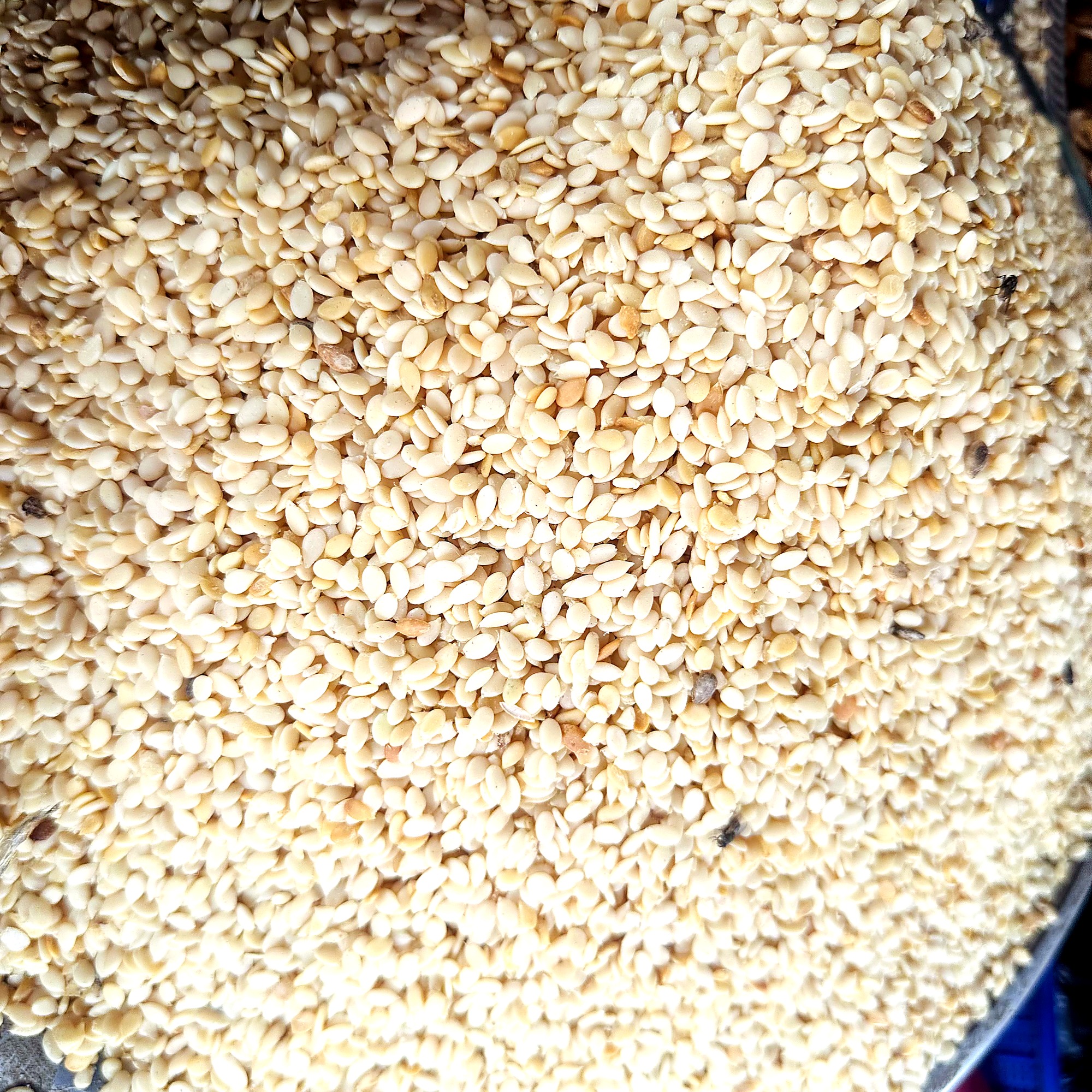 Small Egusi (Melon Seeds)