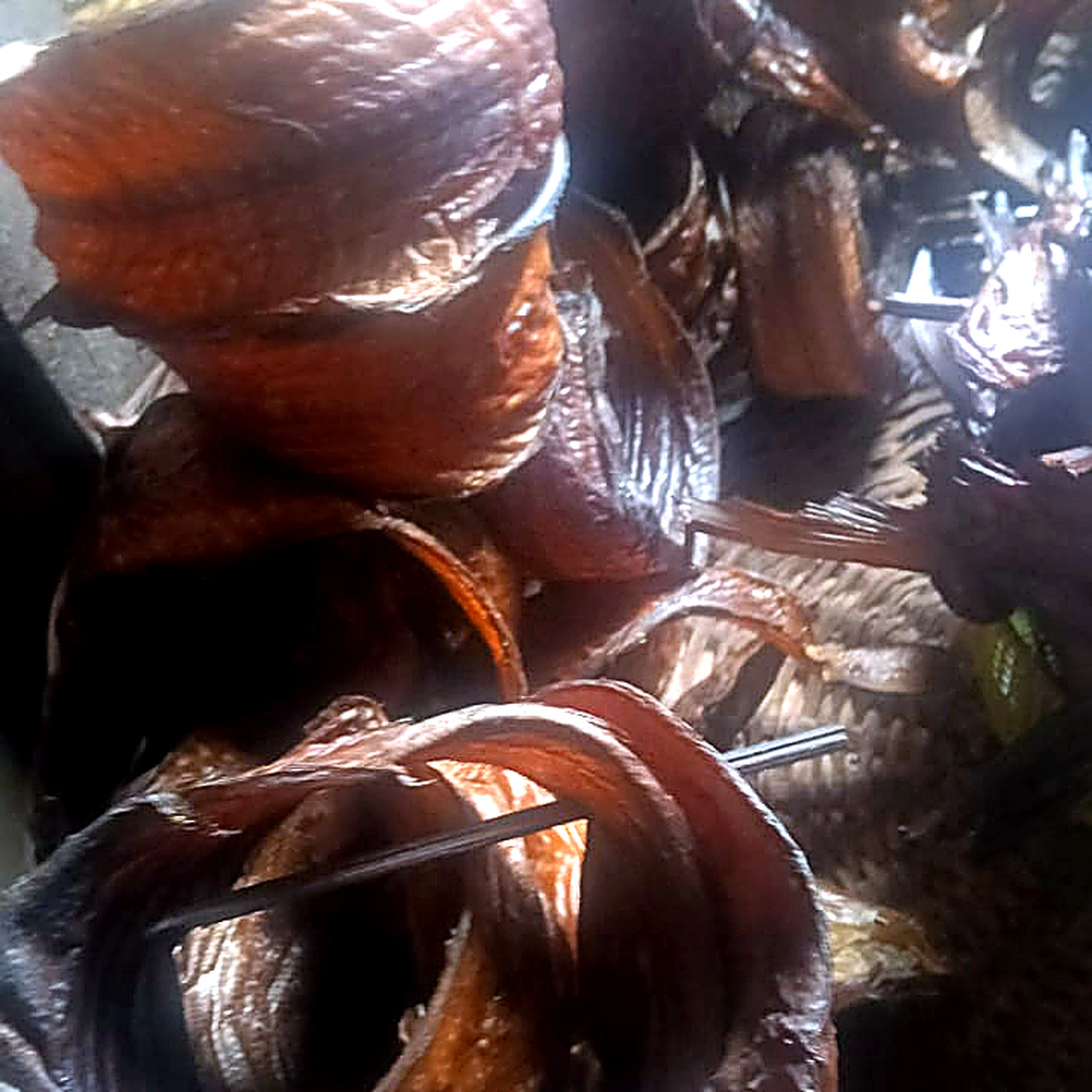 Solo Fish (Smoked Rolled Fish)