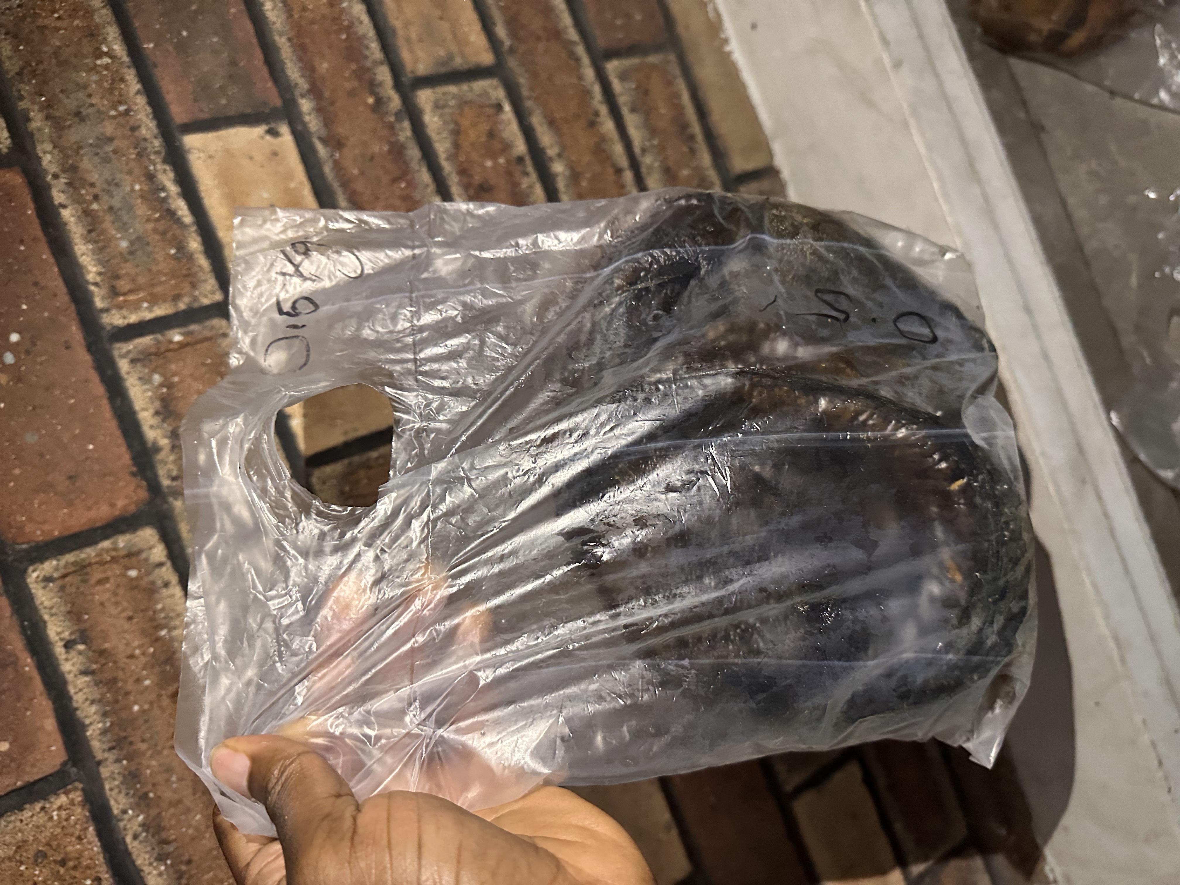 Smoked Catfish