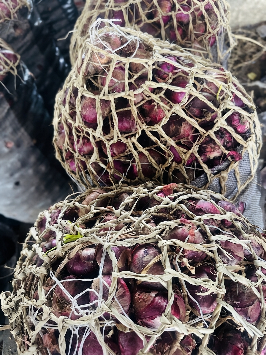 Onions