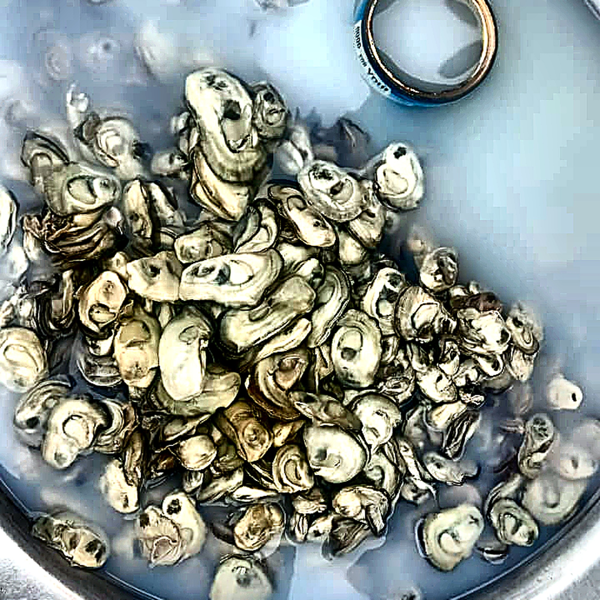 Igmbe (Fresh Shellfish)