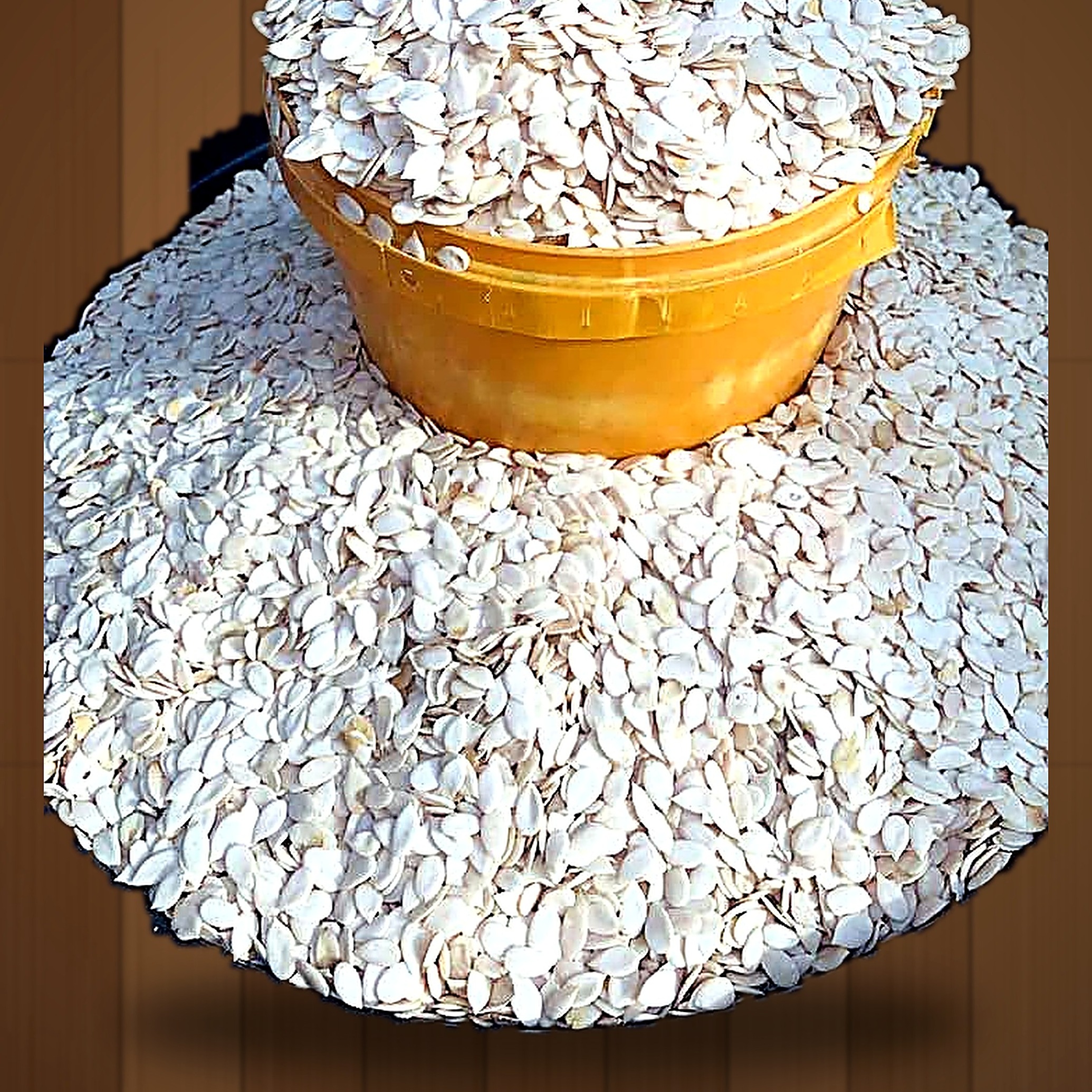 Hand Peeled Egusi/Melon