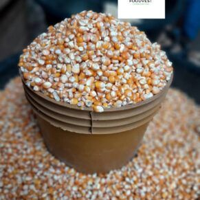 Premium Yellow Maize
